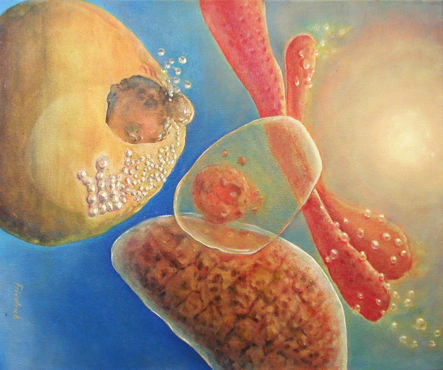 The Light reminds us that our vision of life is mediated by science. Cells are removed from their natural surroundings, fixed upon glass, illuminated beneath the microscope, and briefly revealed before disappearing forever. Knowledge itself depends upon moments of interruption, transforming living processes into visible images.