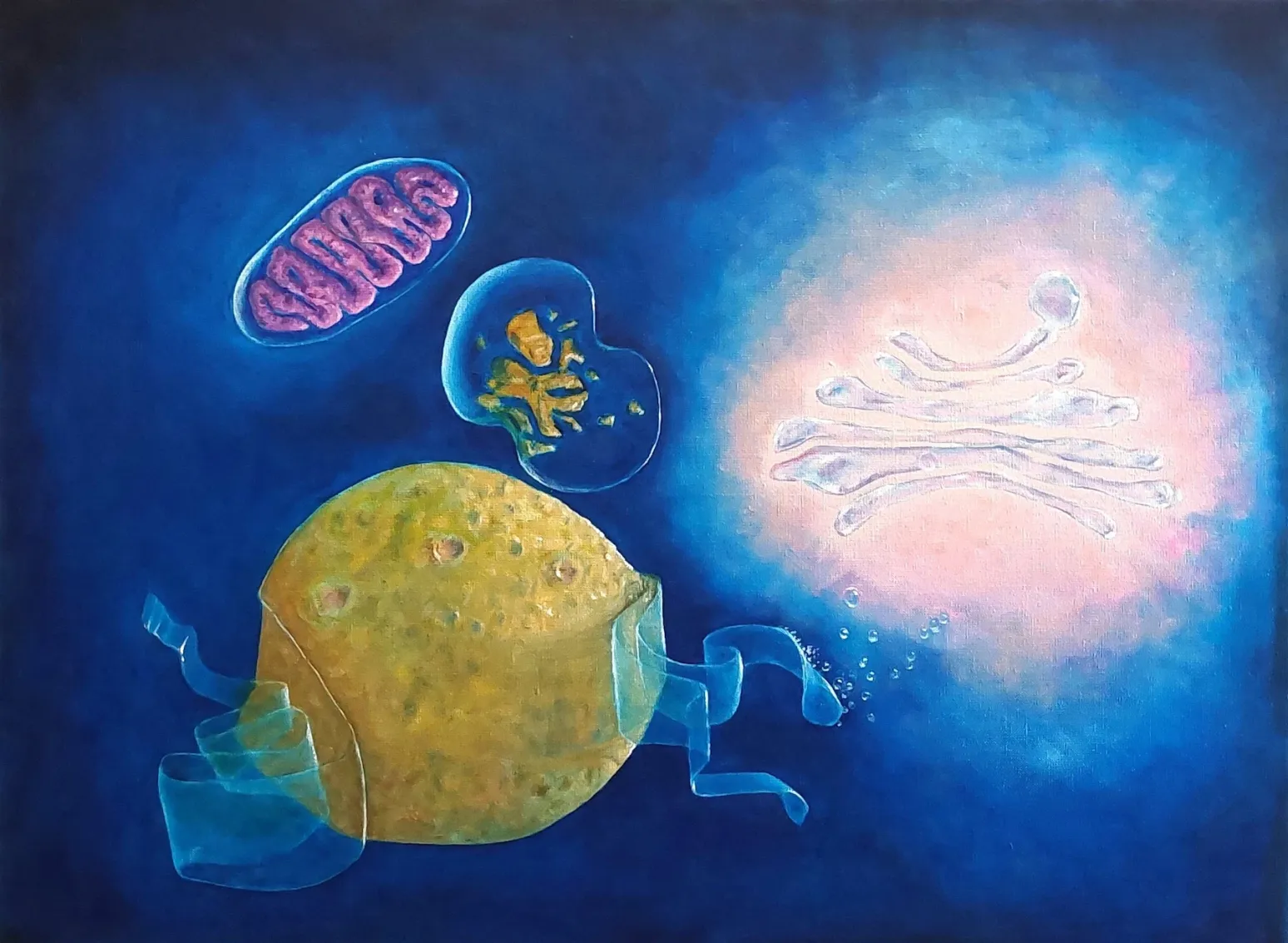 Nucleus with Membrane Scarf reveals the endoplasmic reticulum embracing the nucleus like an ever-changing fabric. Here proteins are synthesized, folded, and prepared. The cell becomes a workshop whose elegance lies not in rigid order but in coordinated movement.