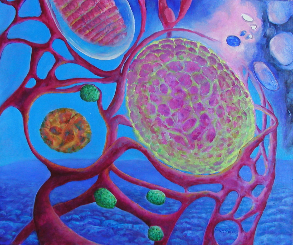 The aesthetics in cellular biologyi - Science Art - Art and Science