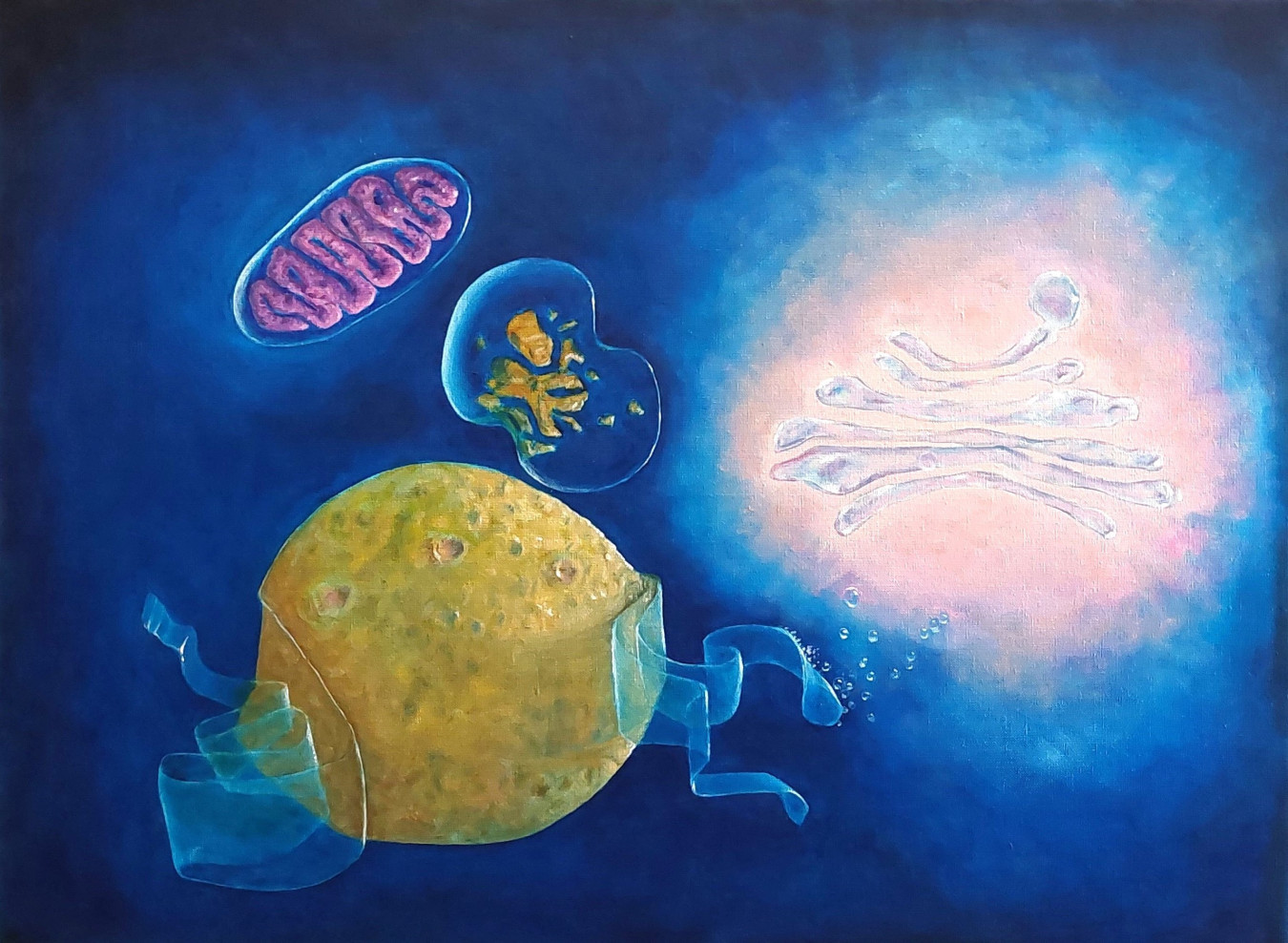 Nucleus with Membrane Scarf reveals the endoplasmic reticulum embracing the nucleus like an ever-changing fabric. Here proteins are synthesized, folded, and prepared. The cell becomes a workshop whose elegance lies not in rigid order but in coordinated movement.