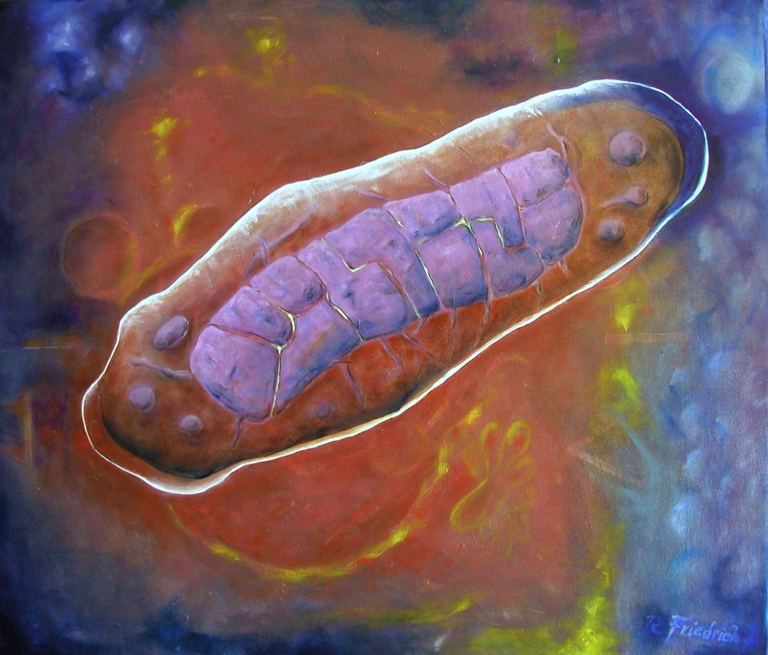 Mitochondrum - the first joining of two bodies put evolution on the path to human life.  - Science Art